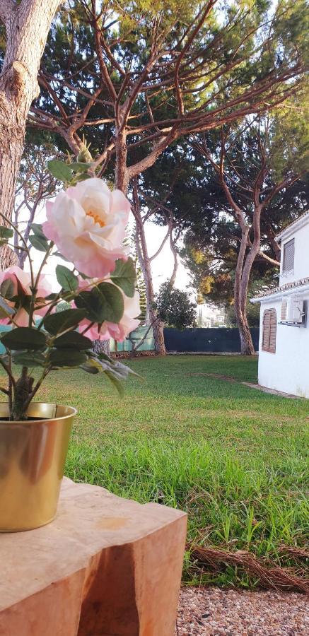 Estudio Na Falesia Albufeira Ngoại thất bức ảnh