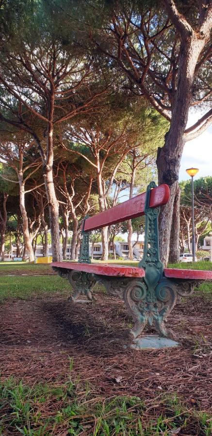 Estudio Na Falesia Albufeira Ngoại thất bức ảnh