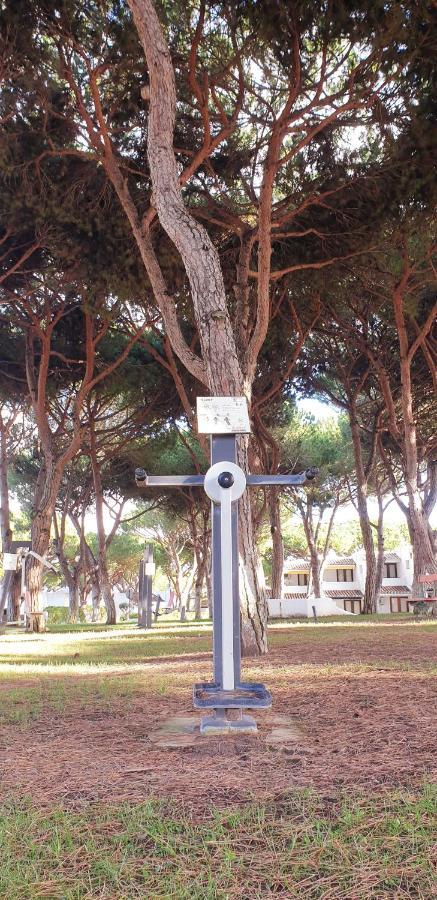 Estudio Na Falesia Albufeira Ngoại thất bức ảnh